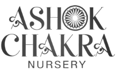 Ashok Chakra Nursery