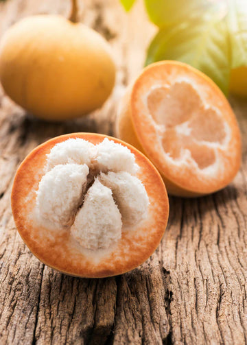 Santol ( Air Layer )