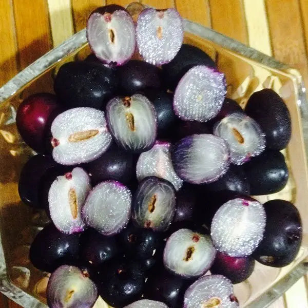 Seedless Jamun