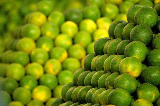 బట్టై కోడూరు (అంటుకట్టిన) 
