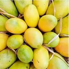చెరుకు రసాలు (అంటుకట్టిన)