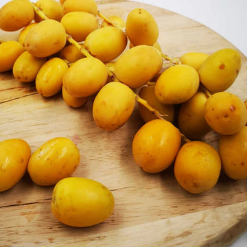 Kharjura ( Date palm ) Yellow