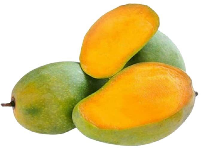 Langadi mango ( Grafted )