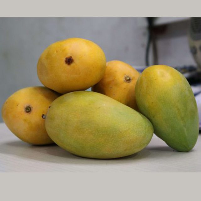 చిన్న రసాలు (అంటుకట్టిన)