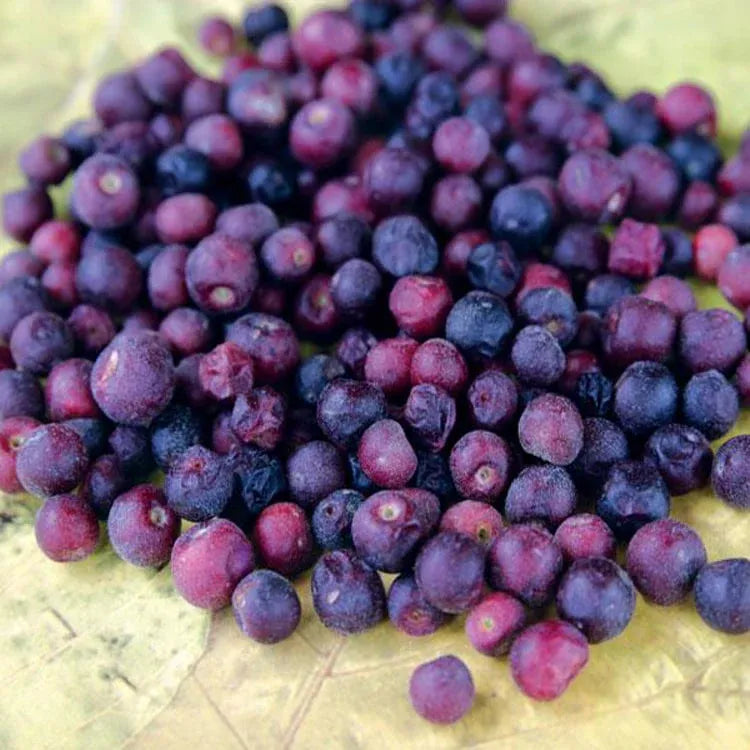 Phalsa Fruit