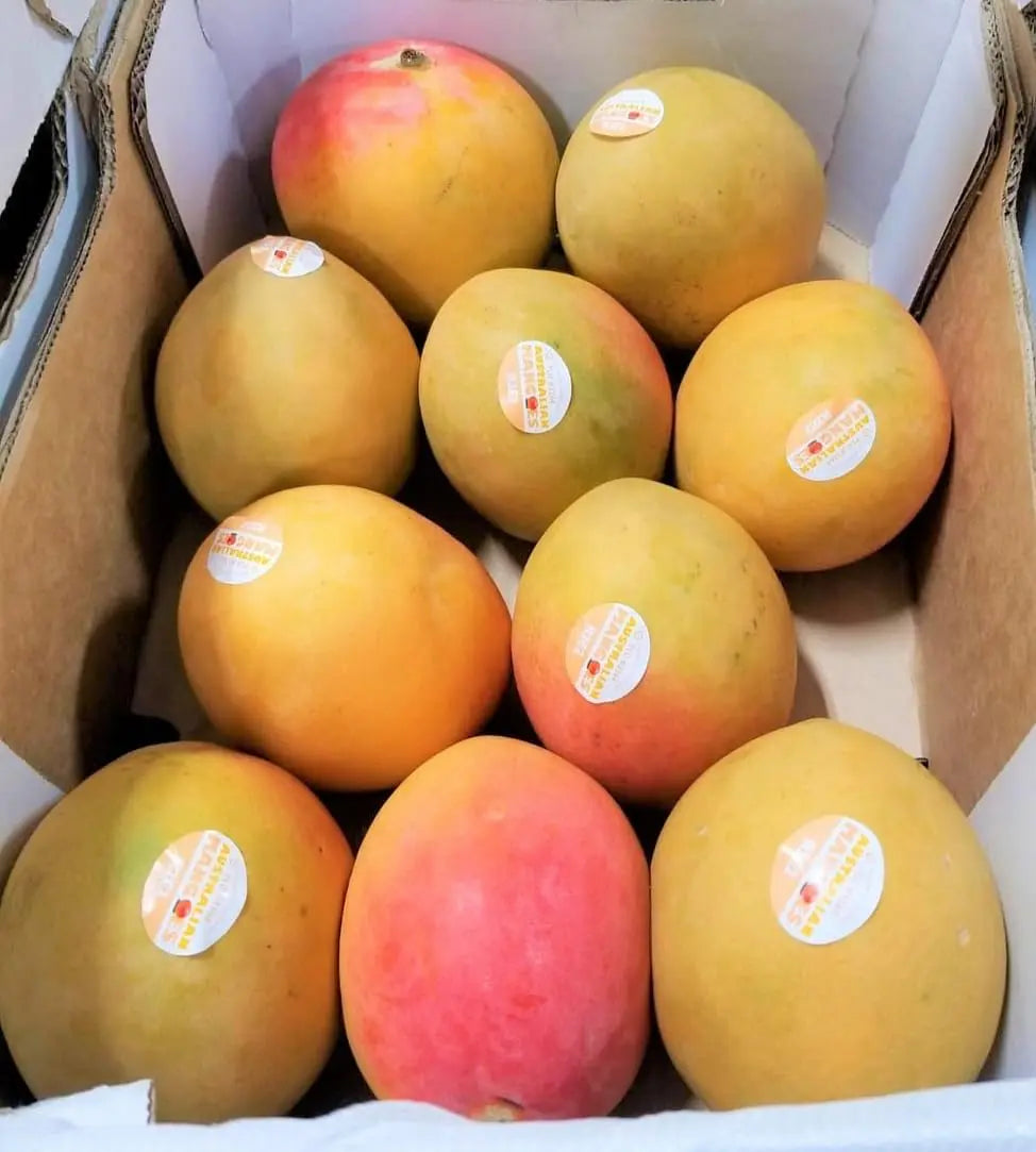 R2E2 Mango ( Grafted )