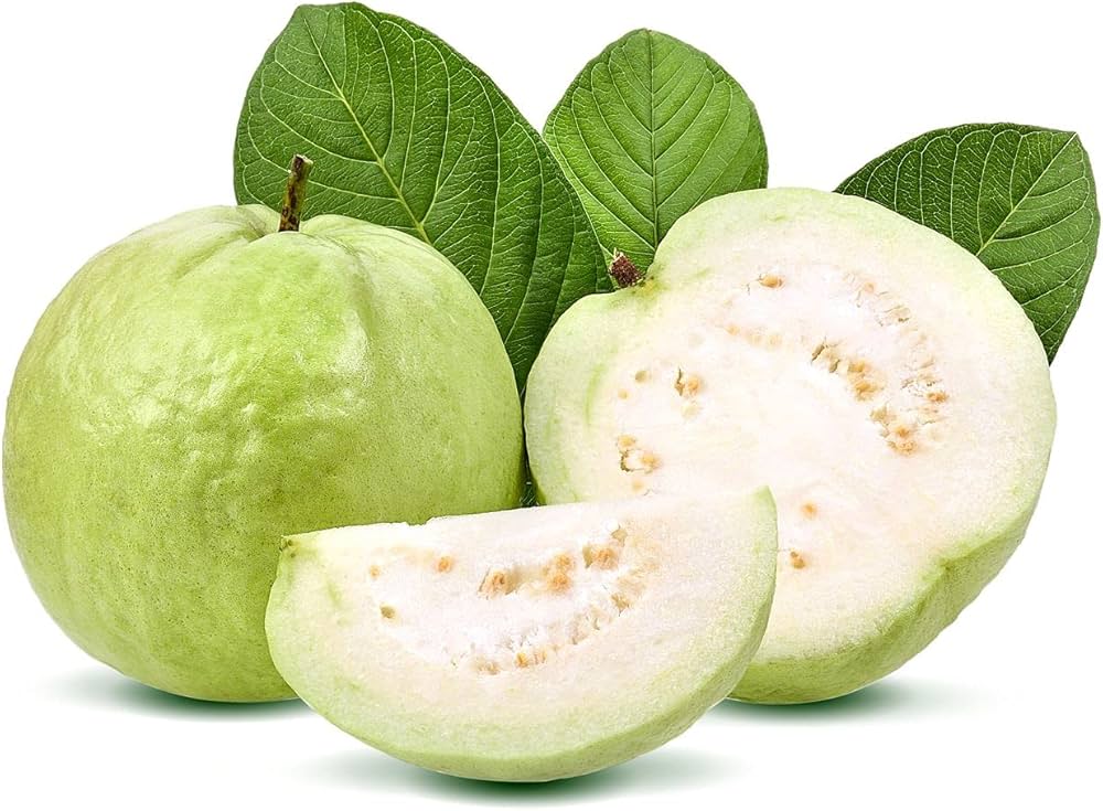 Thaiwan white Guava