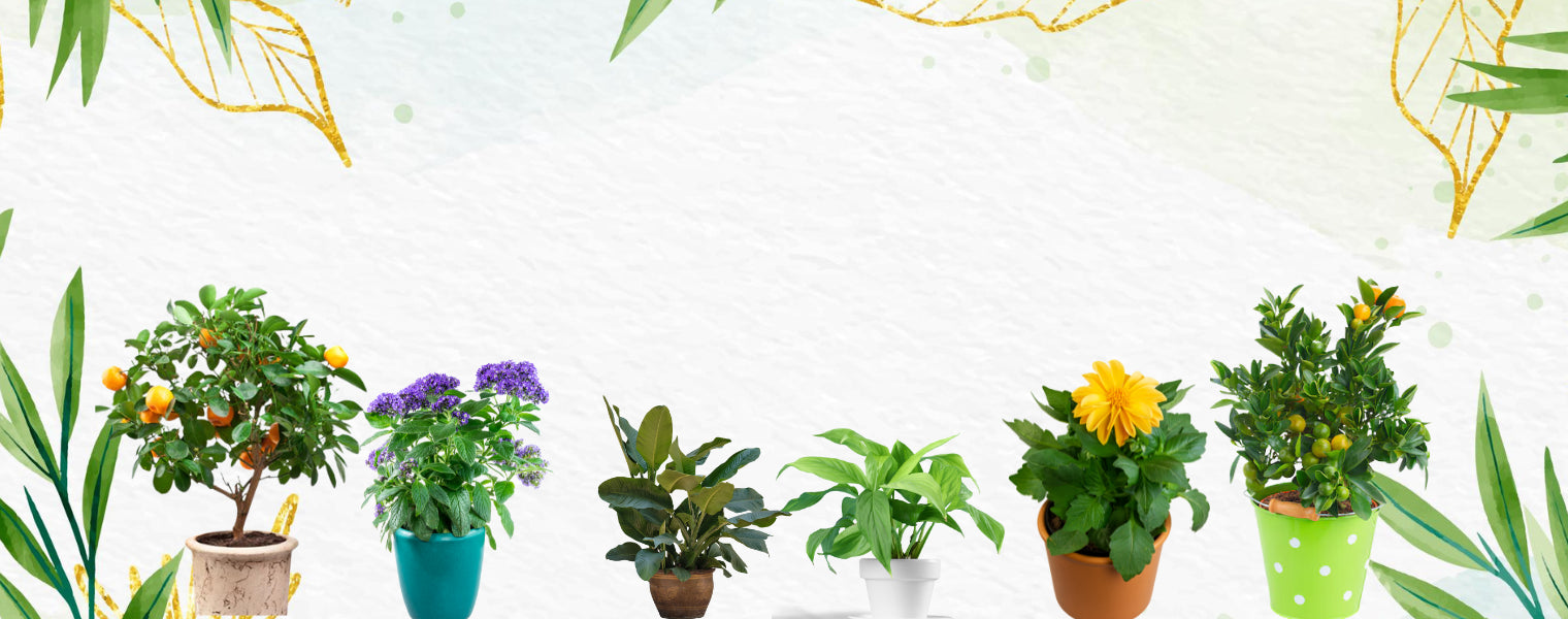 slider image 1621243260e1af0c20-1
