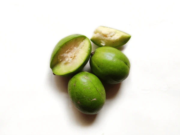 ఆమ్ర / కొండ మామిడి ( అంటుకట్టుట )
