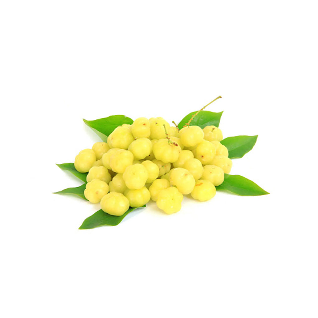 ఆమ్లా చిన్న (మొలకల)