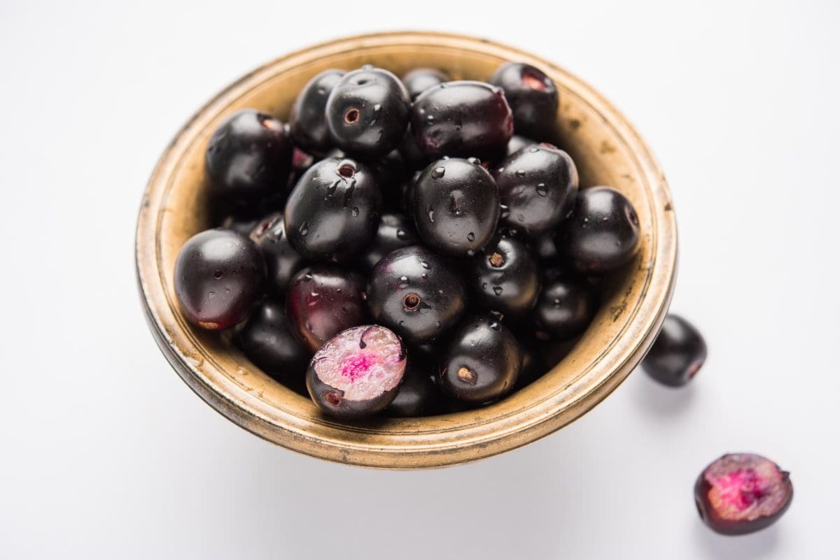 Jamun Badoli ( Grafted )