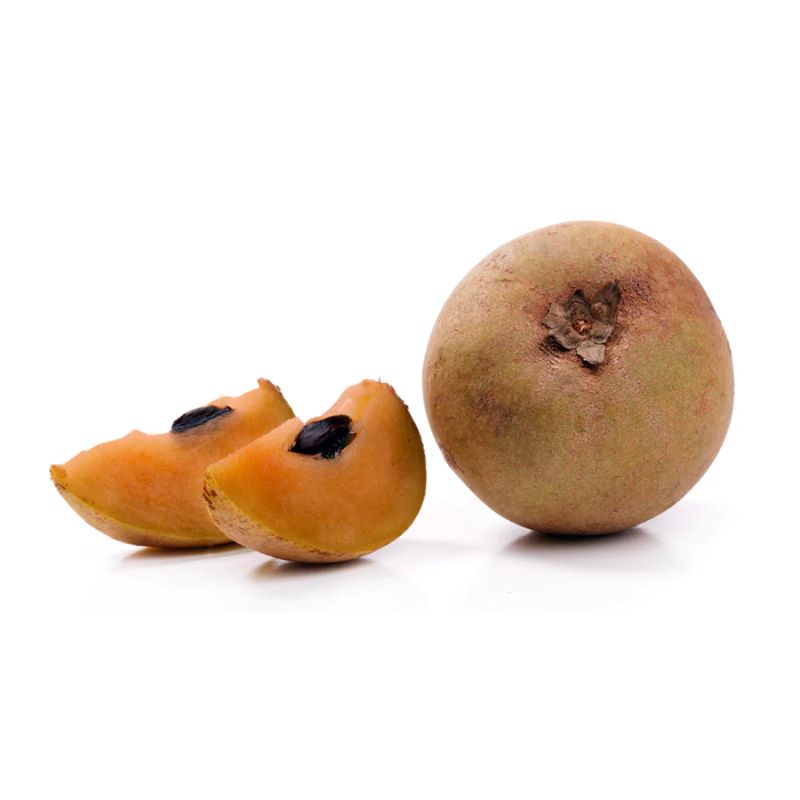 Cricket Ball Sapota ( Grafted )