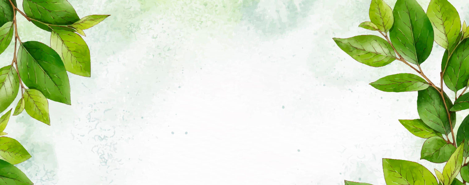 slider image 1621243260e1af0c20-0