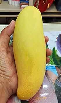 అరటి మామిడి (అంటుకట్టిన)