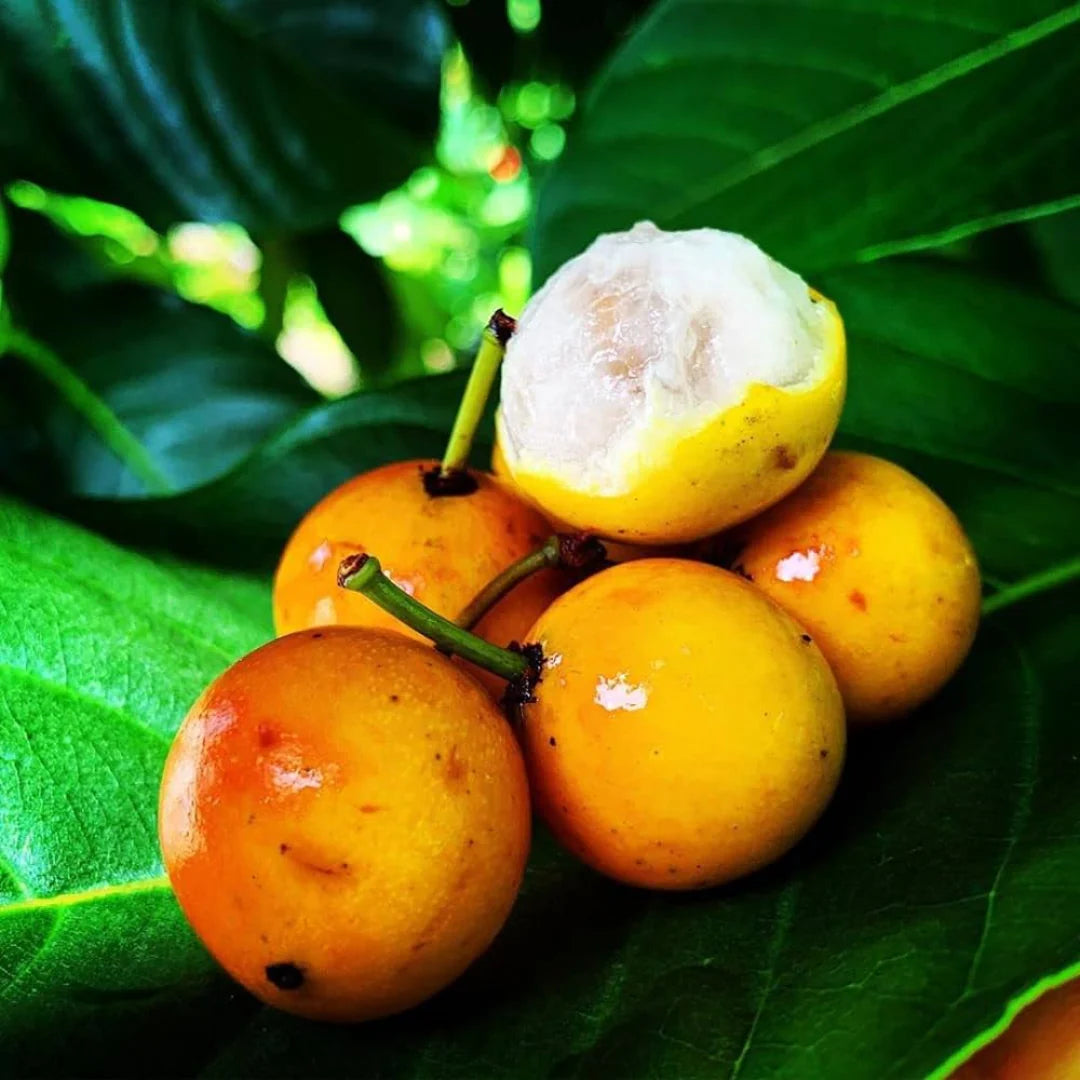 Baraba Fruit