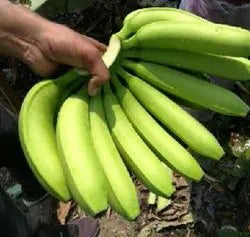 Bhusaavali Banana