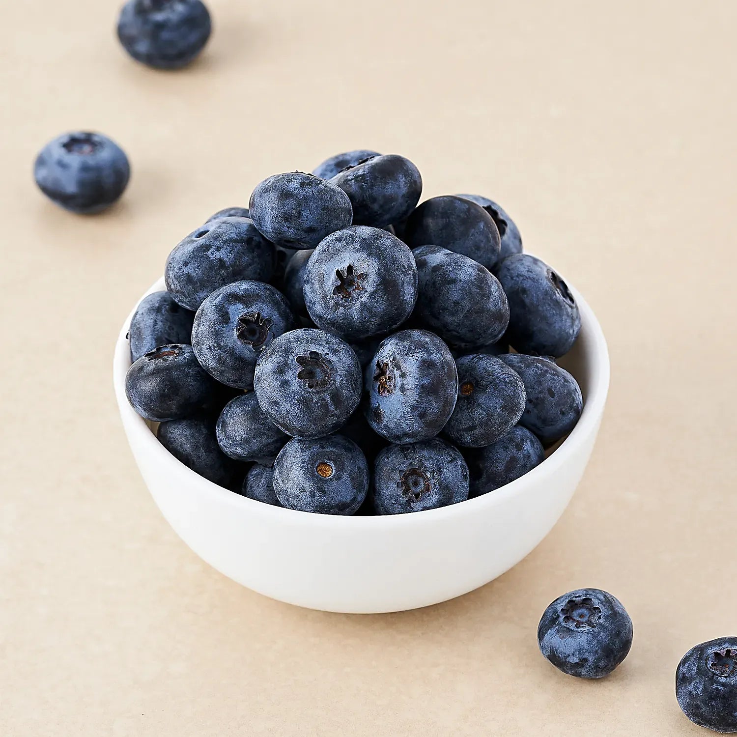 Blue Berry ( Seedling )