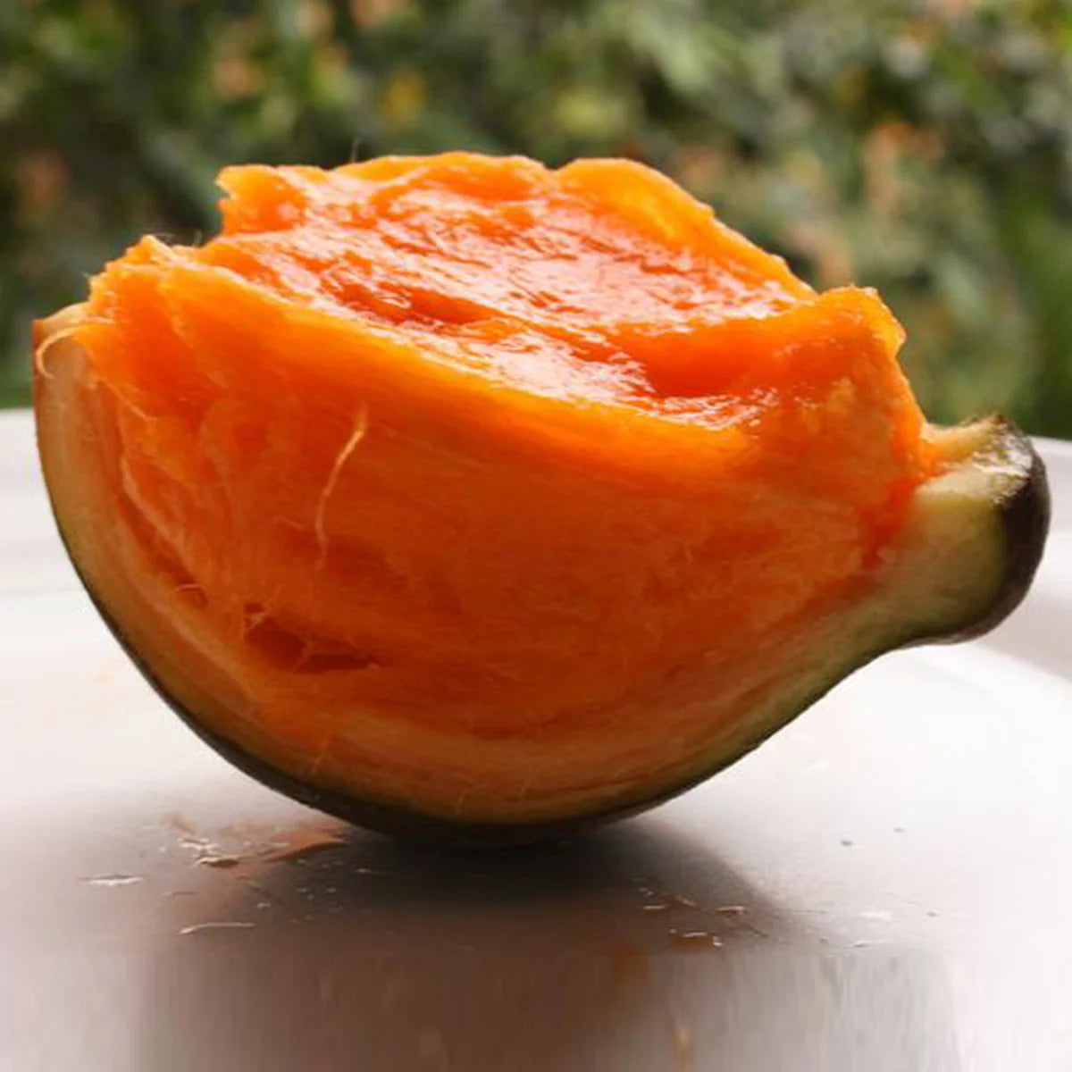 చుపా చుపా (మొలకల) 