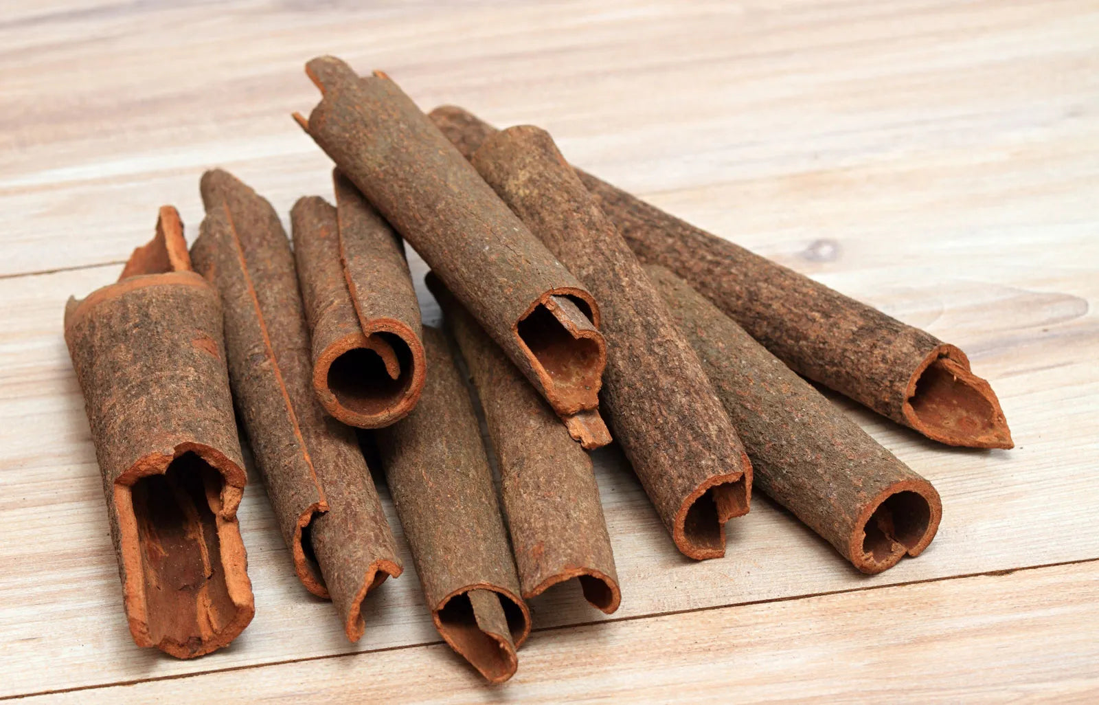 Dhalchina Chekka ( cinnamon ) Plant