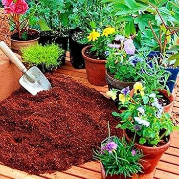 Cocopeat 5 kg Bricks (2)