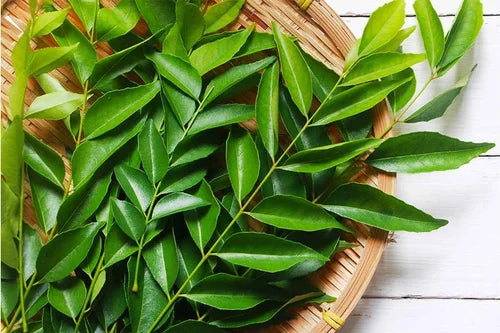 Curry Leaves / Karivepaku