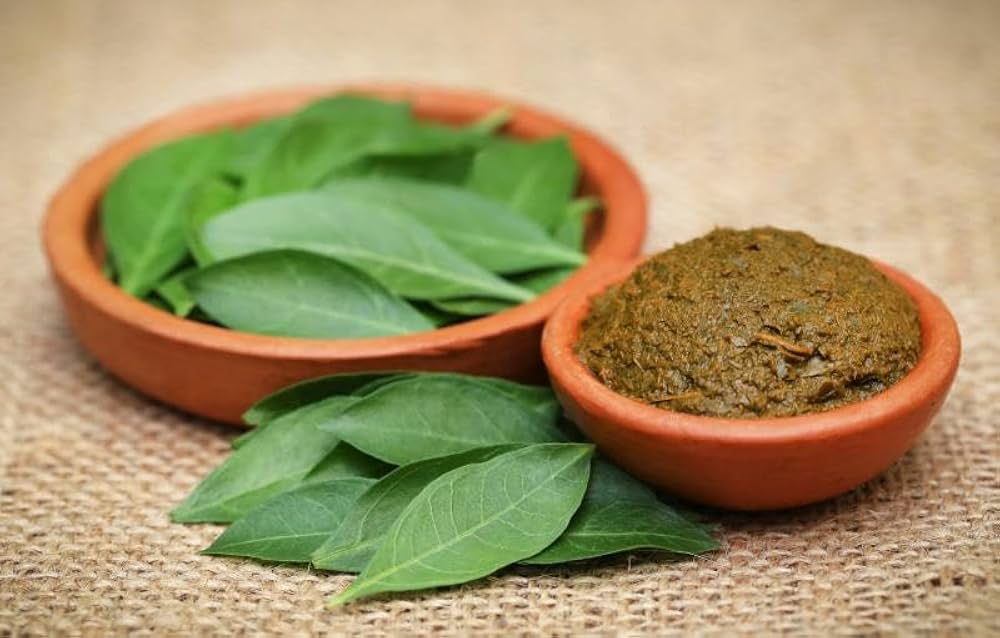 gorintaku plant seeds Gorintaku – Ashok Chakra Nursery