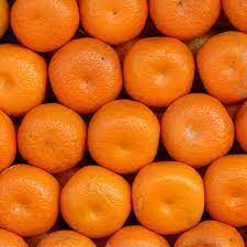 Kamala Orange ( Grafted )