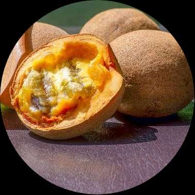 కెపెల్ / పెర్ఫ్యూమ్ ఫ్రూట్