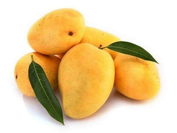 Kesar Mango ( Grafted )