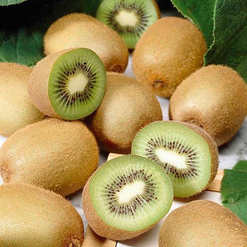 Kiwi Fruit ( Grafted )
