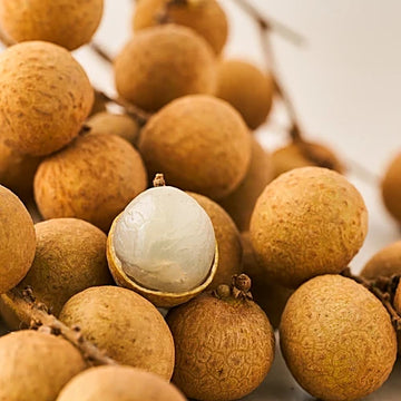 Longan Brown ( Seedling )