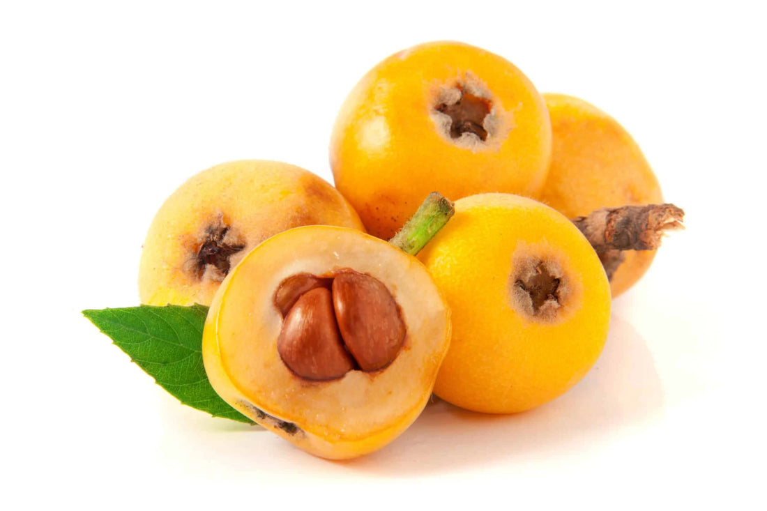 Loquat Fruit ( Air Layer )