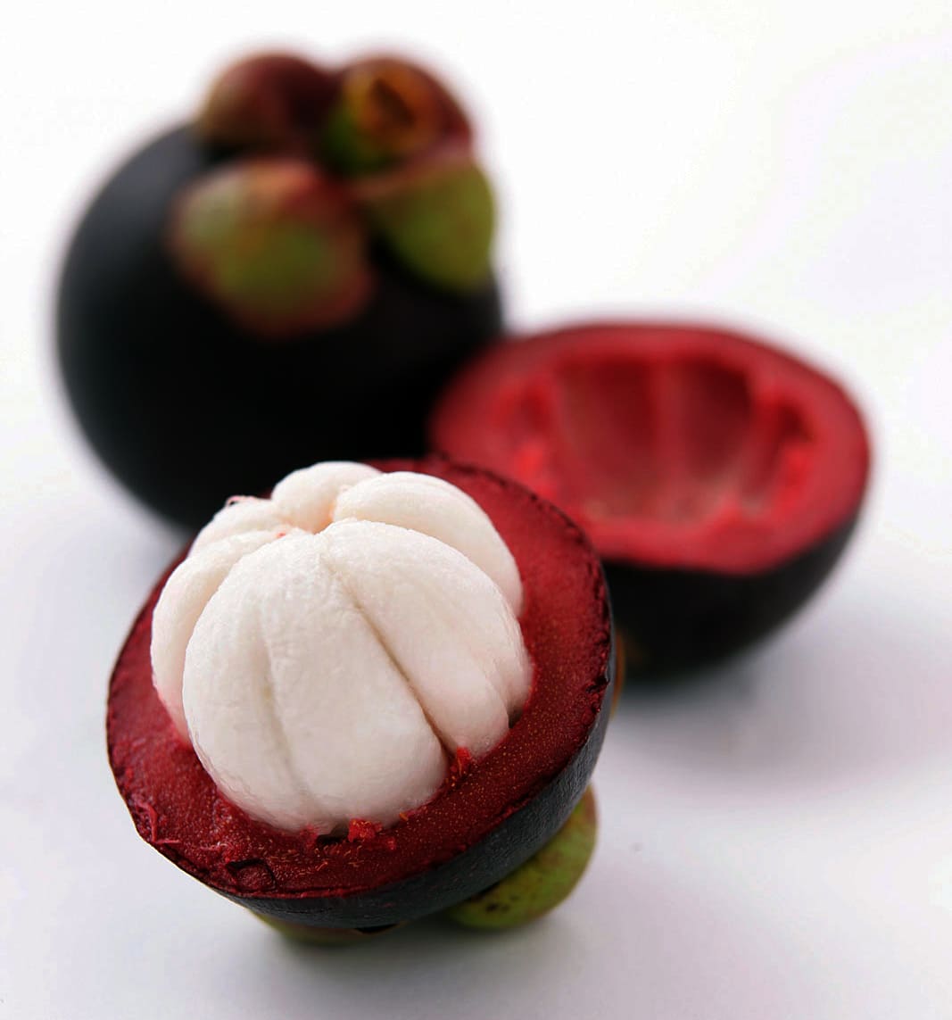 Mangosteen Green ( Seedling )