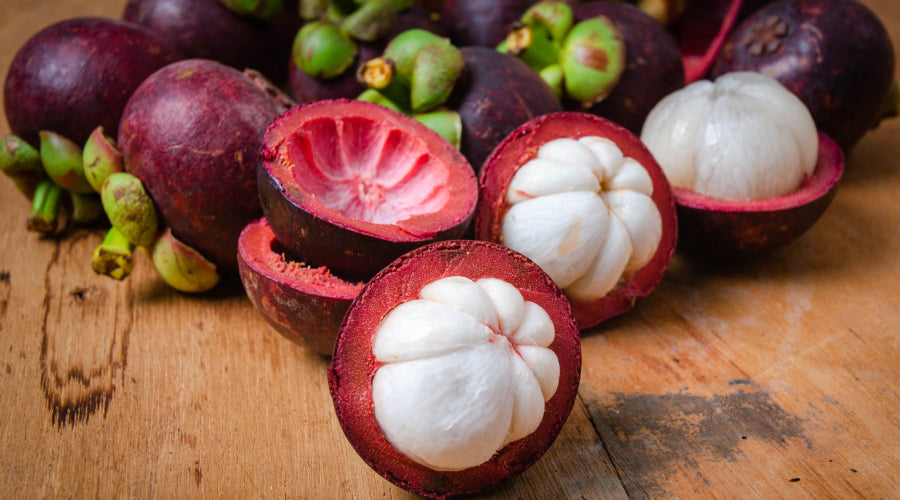 Mangosteen Red ( Seedling )