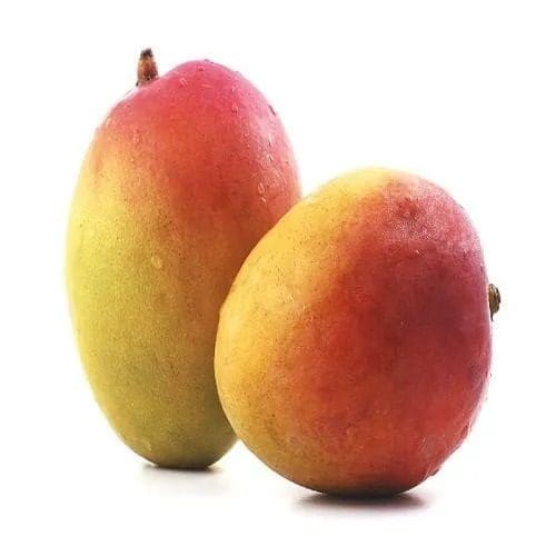 Neelam mango ( Grafted )