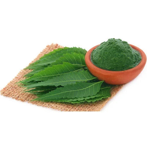 Neem ( Vepa )