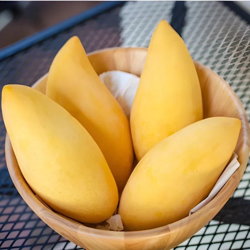 Mallika Mango ( Grafted )