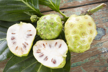 Noni Fruit ( Air Layer )