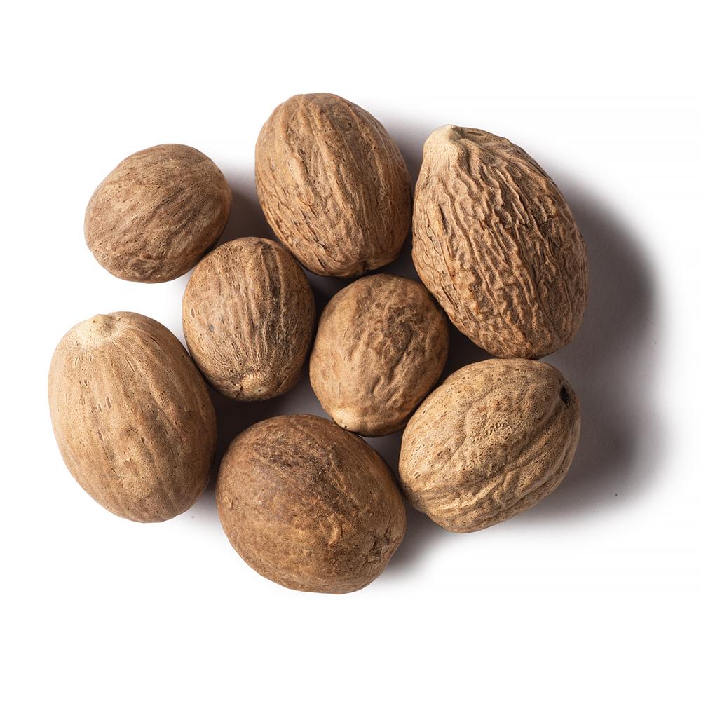 jaji kaaya ( Nutmeg ) ( Seedling )