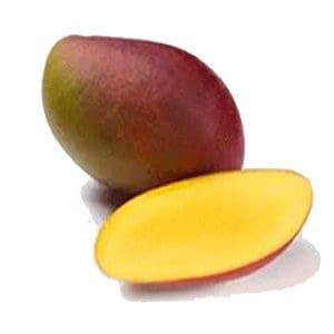 Osteen Mango ( Grafted )