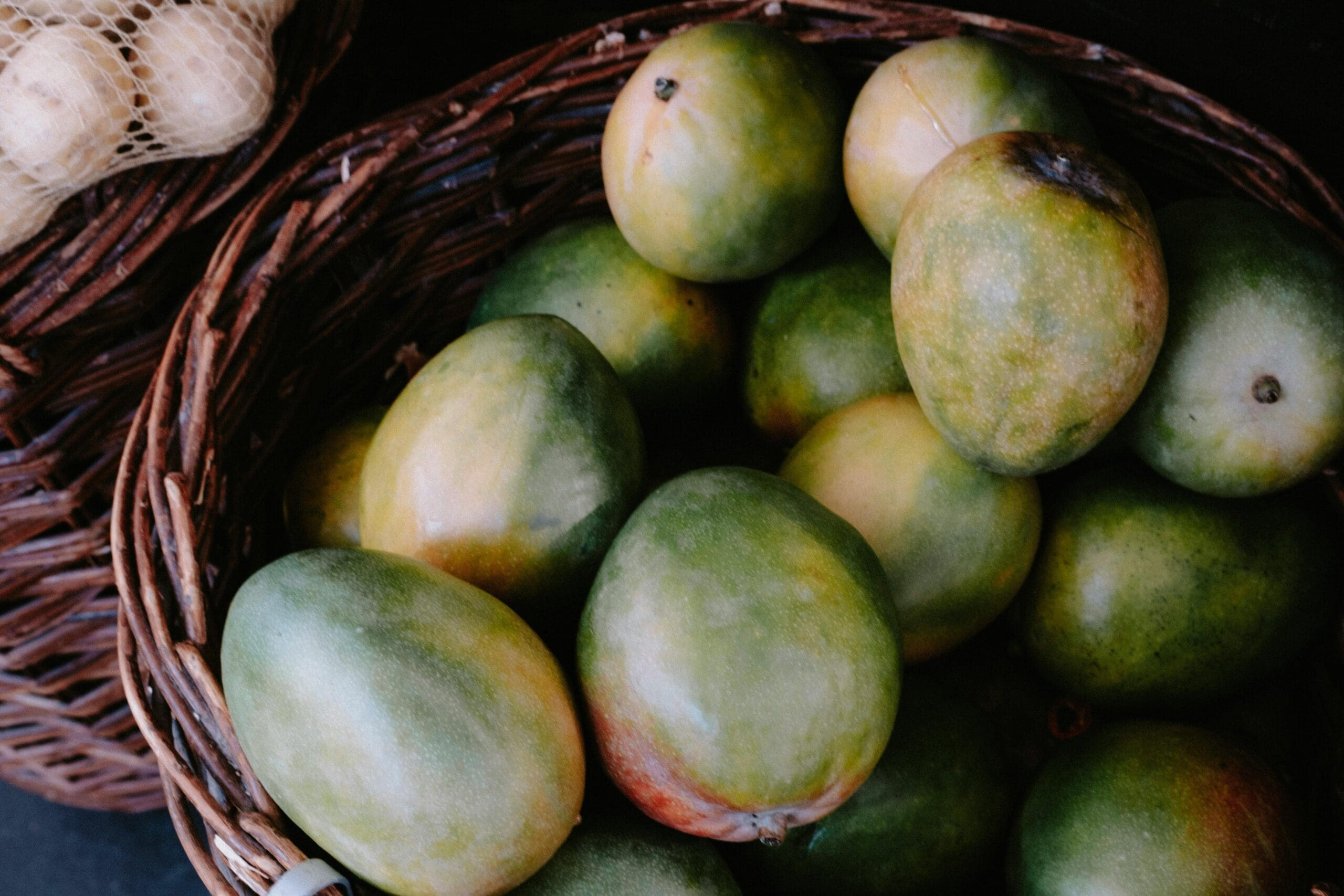 Punaasa 365 mango ( Grafted )