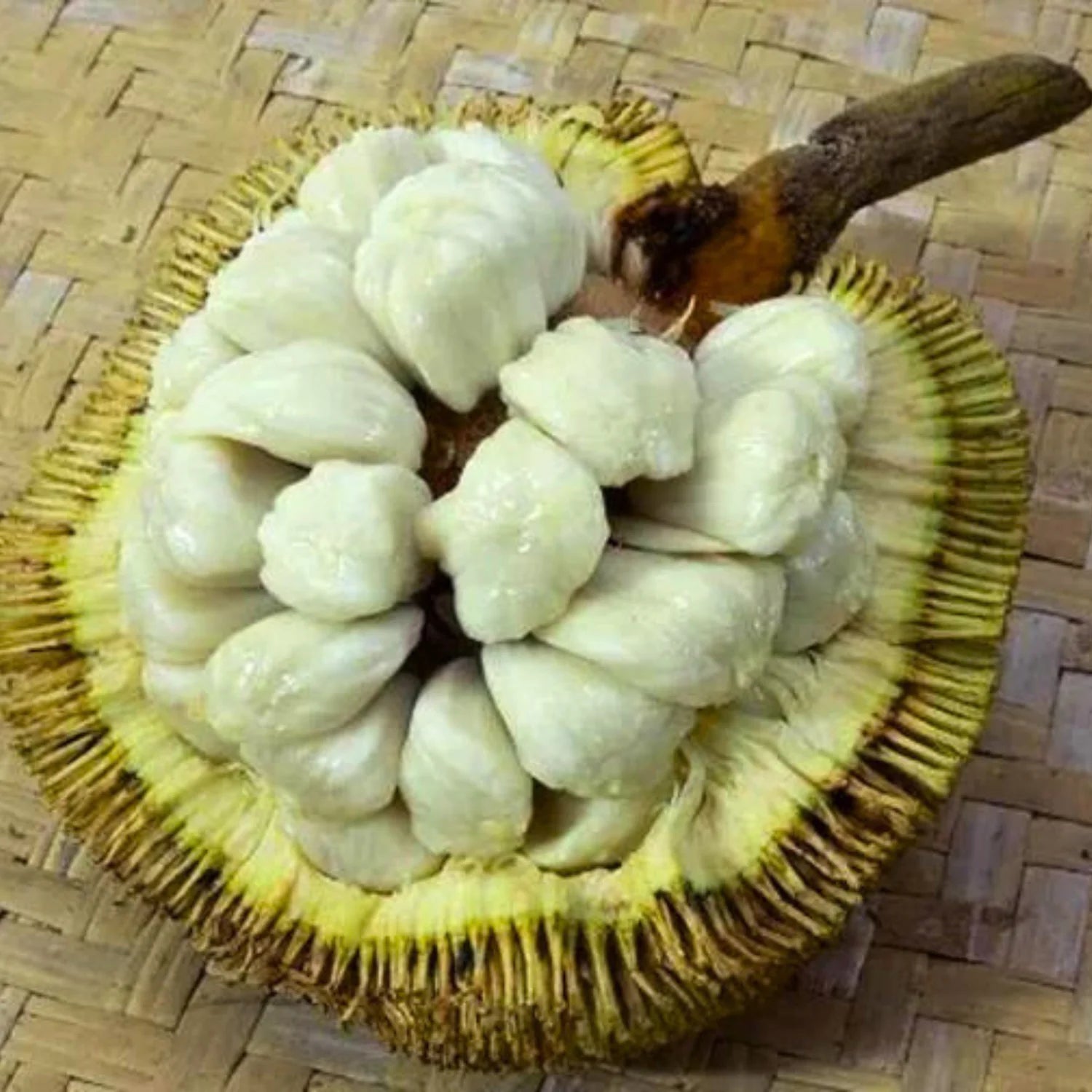 Pingan ( Air Layer )