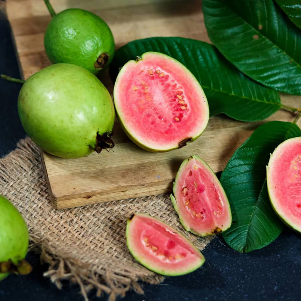 Thaiwan pink Guava