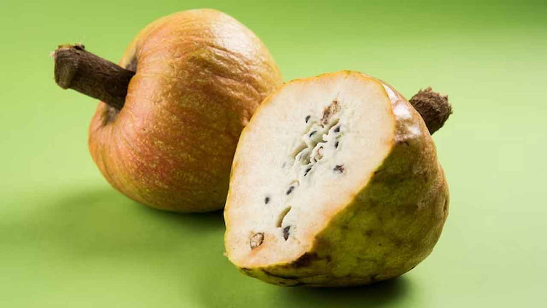 Raama phalam ( Grafted )