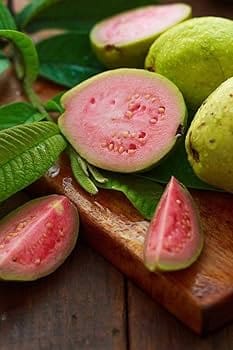 R.K  Kiran Guava