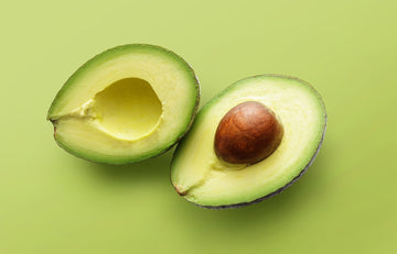 Avacado ( Grafted )