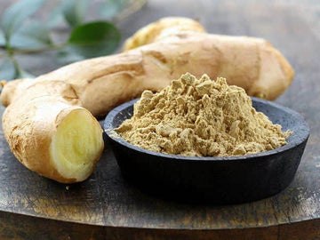 White Turmeric