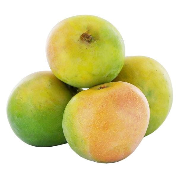Romania Mango ( Grafted )