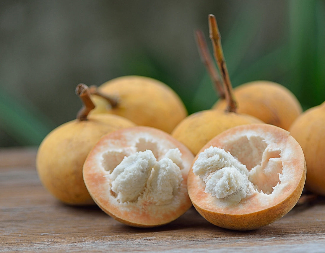 Santol ( Air Layer )