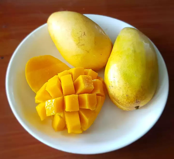 Seedless Mango ( Grafted )